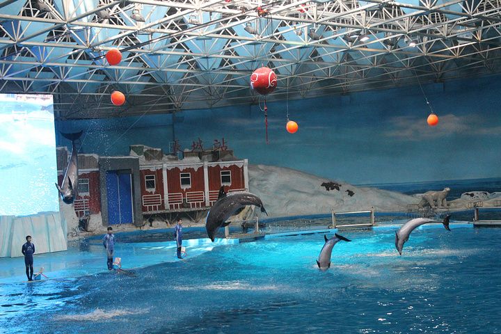 海洋馆在哪(太原水族馆和海洋馆)