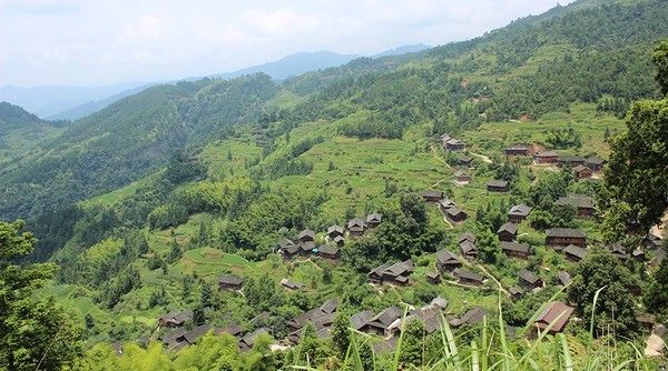 鸟乡在哪(中国有几个鹤乡)