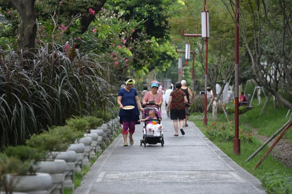 路桥十八公园的鸡在哪(路桥4号桥鸡都去哪里啦)