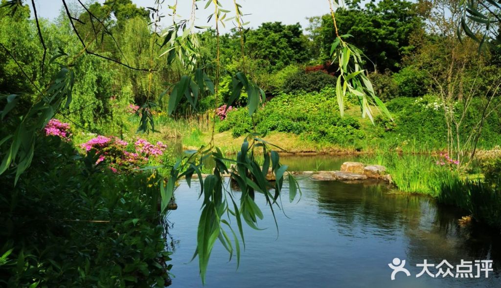 荣家在哪里(荣智龙是荣氏家族的人吗)