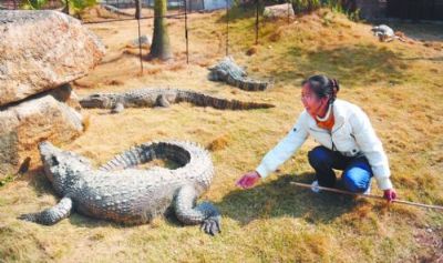 鳄鱼新家如何改造(鲨鱼一家子英文儿歌)