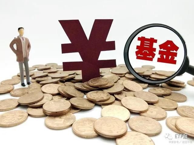 有哪些基金知识(初学基金者怎么玩基金)