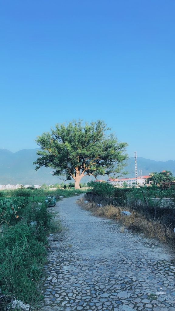 双庙在哪里(天地庙在哪里)