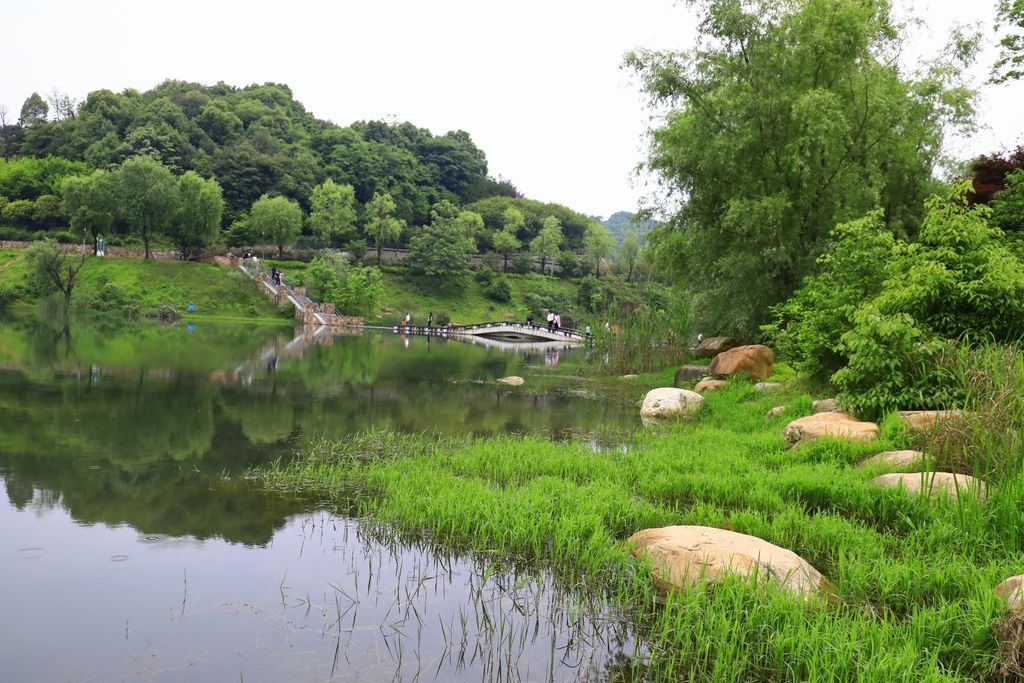 尖山湖公园在哪里(肥东尖山湖公园在哪里)