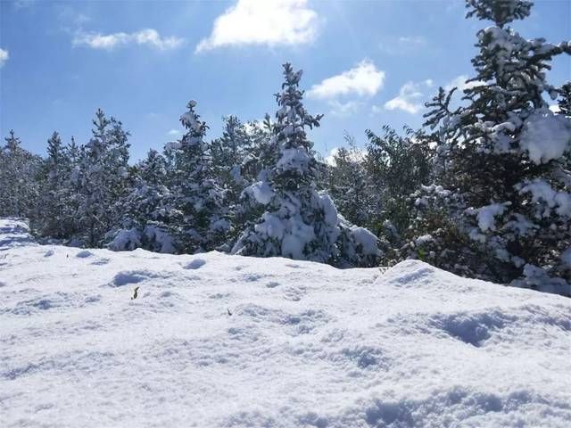 现在哪里下雪了9月(2021年5月哪里下大雪)