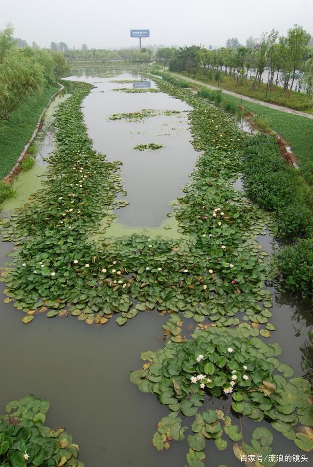 邻河在哪里(内蒙古巴彦淖尔临河)