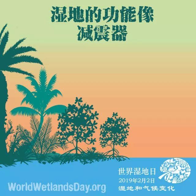 湿地日在哪天(湿地日是什么节日)