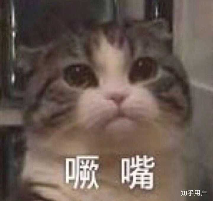 我的猫咪在哪儿20(我的猫咪在哪儿11关)