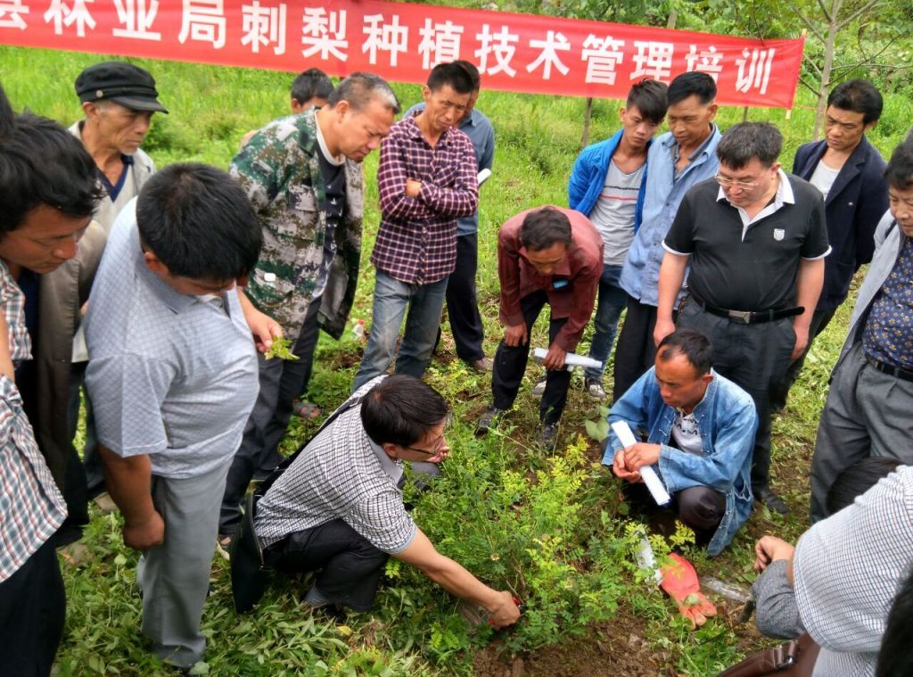 乡镇致富网(致富汇加盟网)