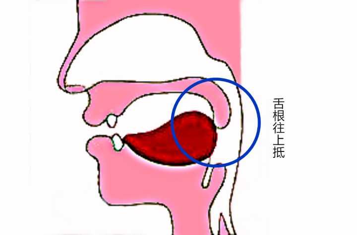 舌根在哪个位置图片(舌根在哪个位置图片大全)