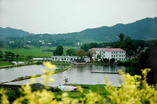 关于樟树市红灯区在哪里的信息