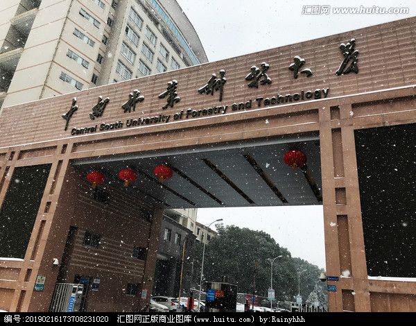 中南林业科技大学在哪(中南林业科技大学在哪个区)