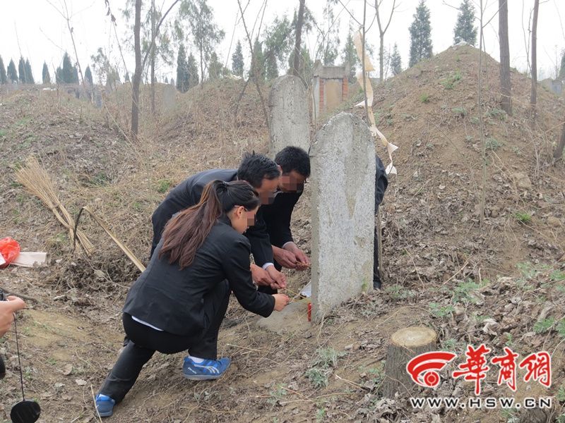 在哪里扫墓(扫墓鲜花图片)