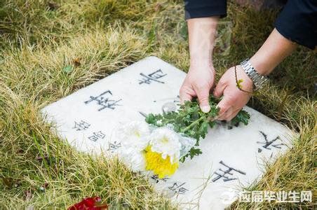 在哪里扫墓(扫墓鲜花图片)