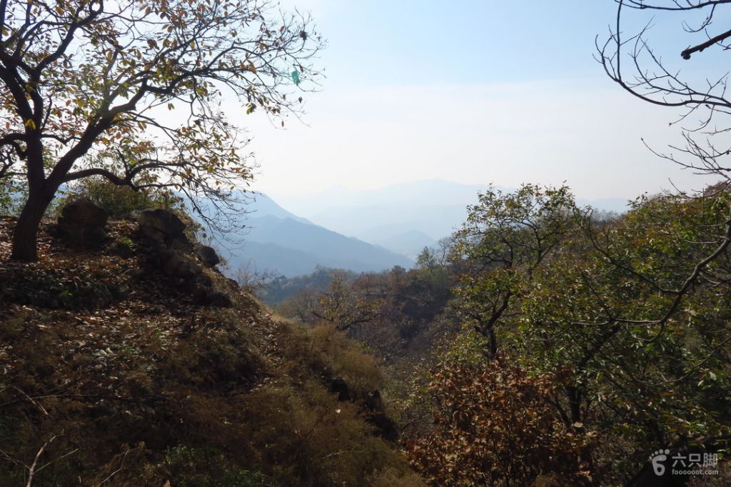 沙峪沟在哪(沙沟古镇的简介)