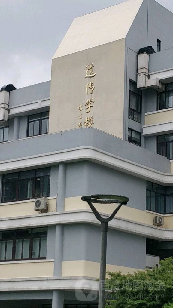 关于杨浦区复旦大学在哪里的信息