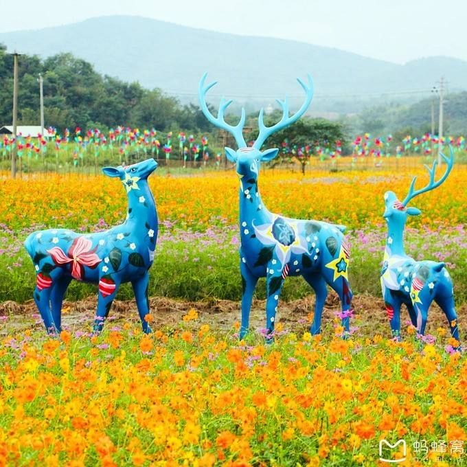 五色谷在哪里(广德五色谷风景区)