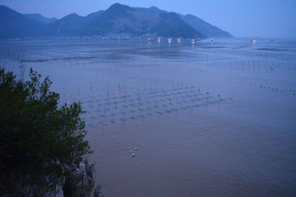 浦霞在哪(taxx酒吧地址)