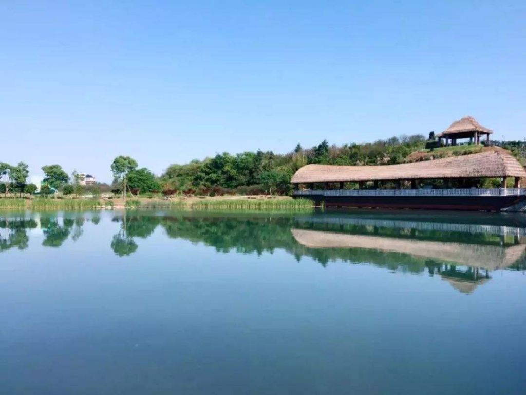 鲶鱼湾在哪里(小森生活鲶鱼在哪里)