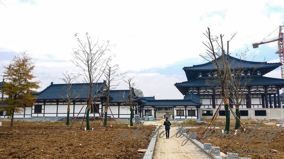 谷慧济寺在哪(印度谷螟怎么找到根源)