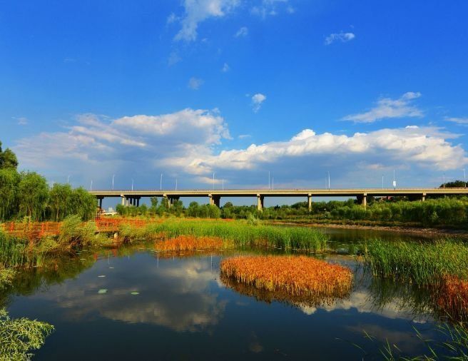 山西湿地公园在哪里(山西古城国家湿地公园)