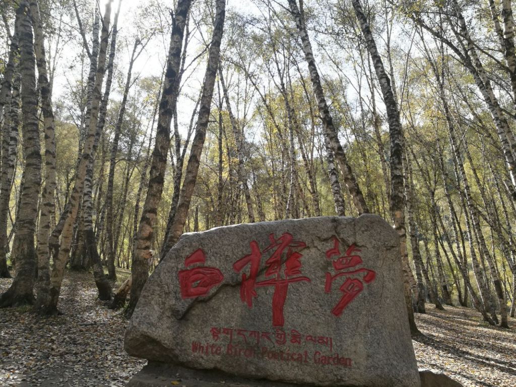 浪士当在哪里(青海互助浪士当)