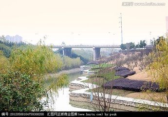 匡河路在哪(合肥匡河梅花位置)