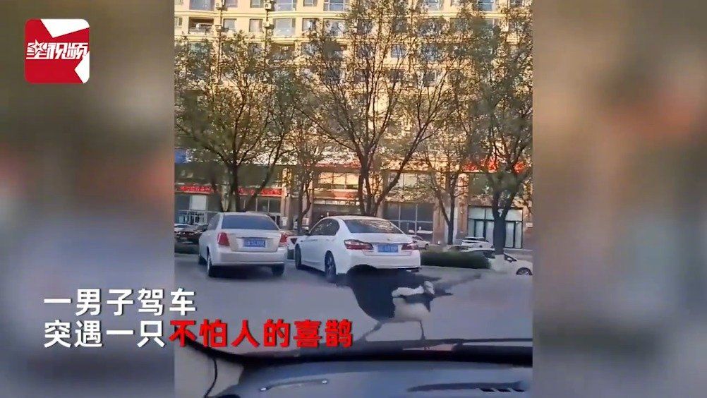 现在哪个贴吧开车(现在什么贴吧能开车)