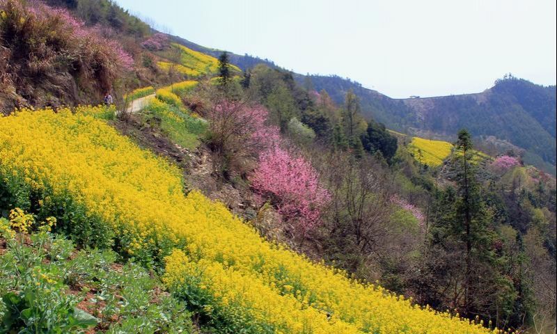 响石潭在哪(陕西礼泉县石潭镇名人)