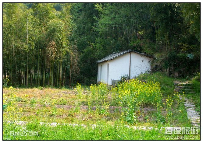 径山飞机场建在哪个村(黔西飞机场建在哪个位置)