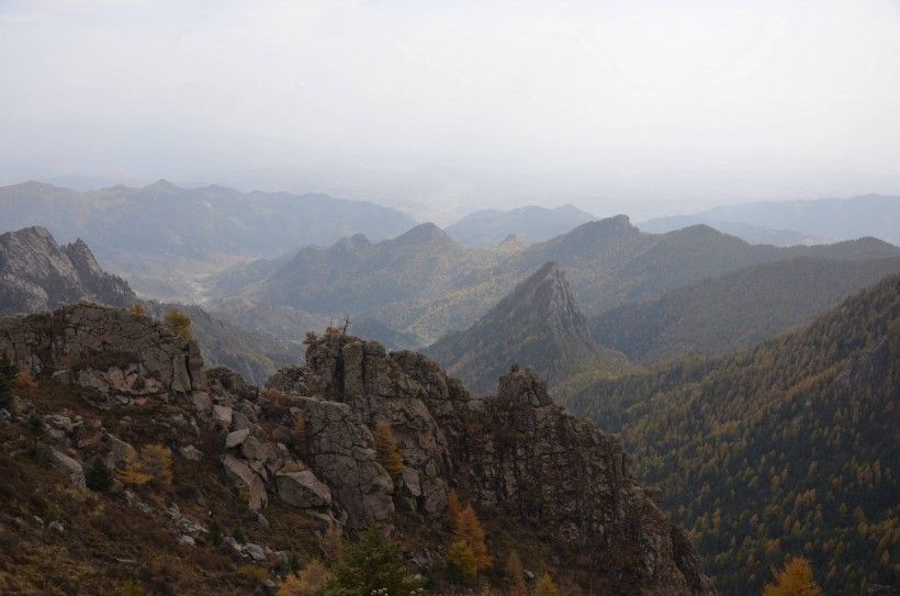 芦芽山在哪儿(芦芽山风景区图片)