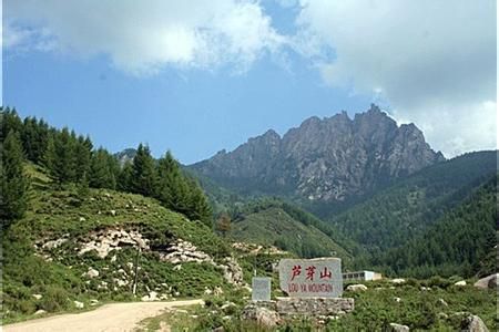 芦芽山在哪儿(芦芽山风景区图片)