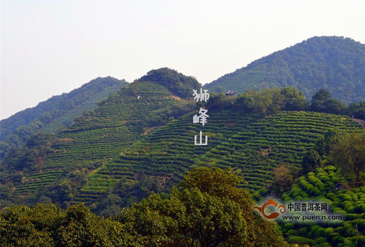 龙井产地在哪里(北港毛尖产地在哪里)