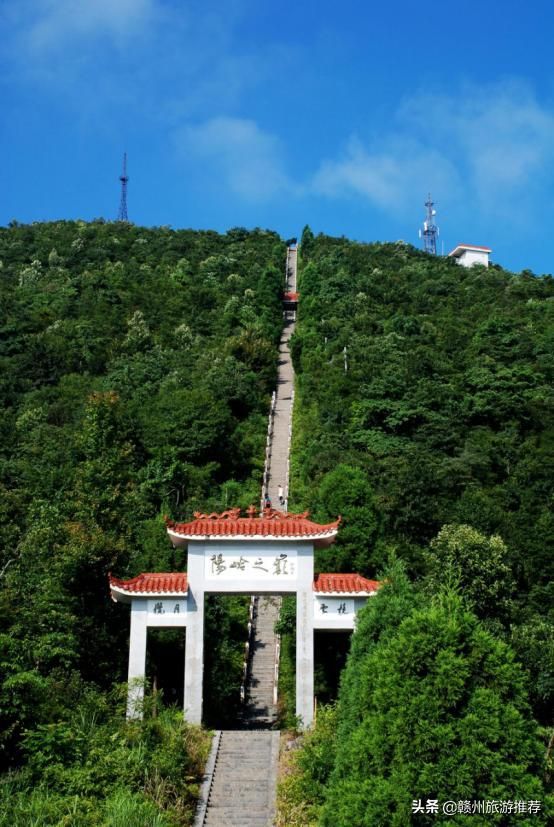 赣州森林公园在哪里(赣州九里峰山国家森林公园)