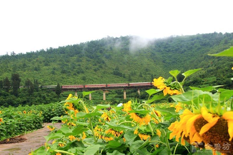 螳螂川在哪(富民螳螂川旧照片)