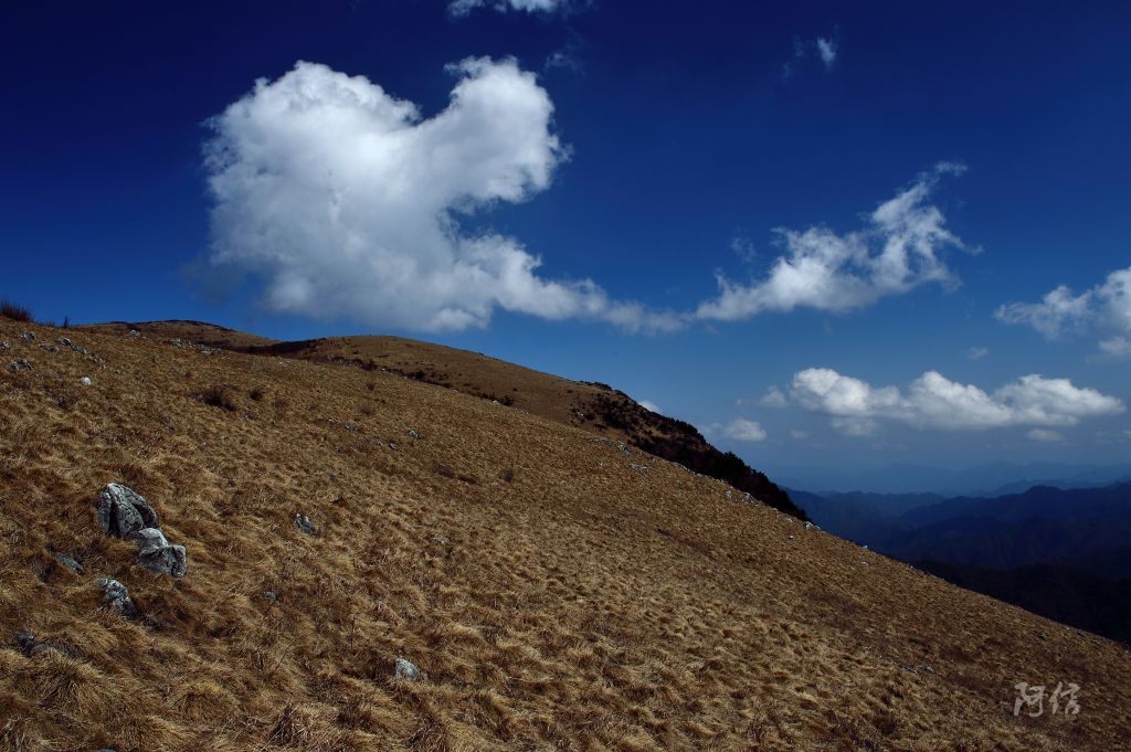 紫柏山在哪里的简单介绍