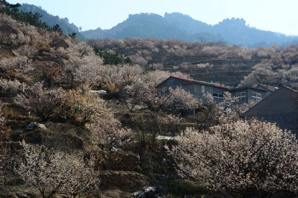 北宅在哪里(小宅在哪里直播)