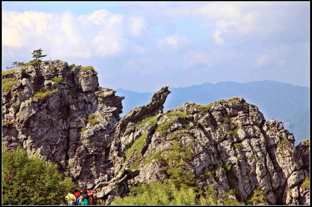 雏凤山在哪里(凤山公园在哪里)