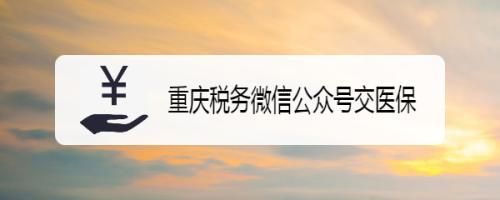 登录重庆税务打不开网页的简单介绍