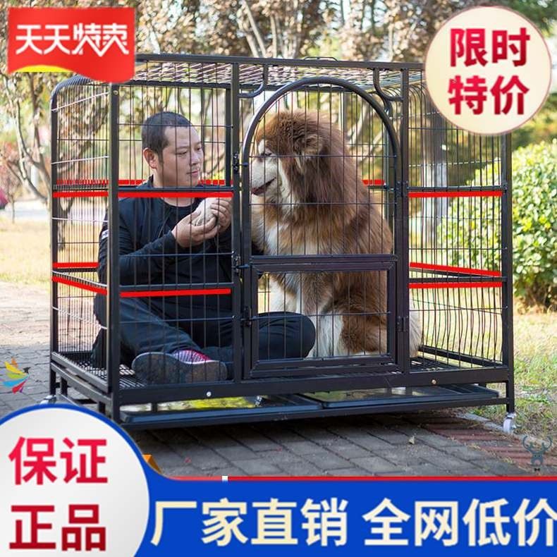 风犬在哪播(凤权在上摄政王有礼了)