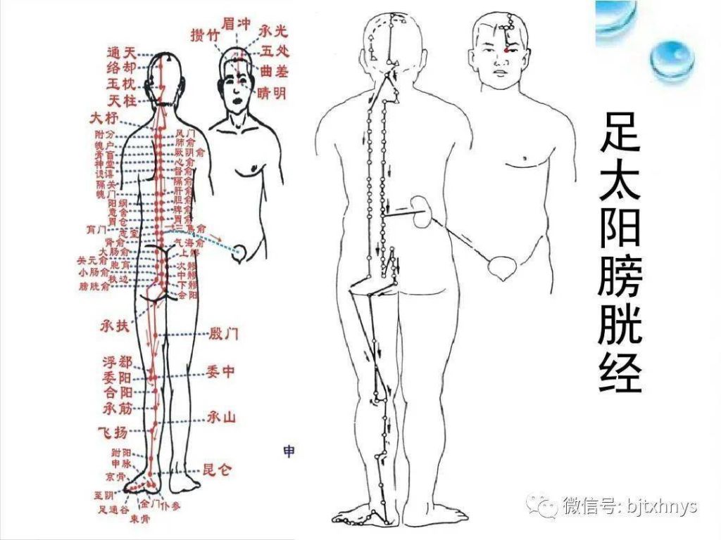 内膀胱经在哪个位置图(膀胱经在背部的哪个位置图)