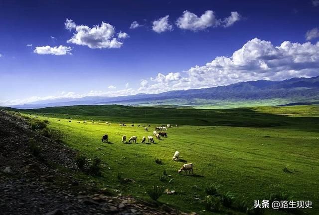 山台山在哪里(台山有风车的山在哪里)