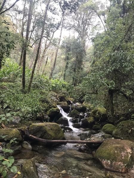 腾冲瑞丽在哪里(腾冲瑞丽芒市旅游攻略)