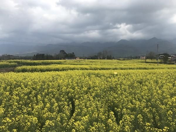 腾冲瑞丽在哪里(腾冲瑞丽芒市旅游攻略)