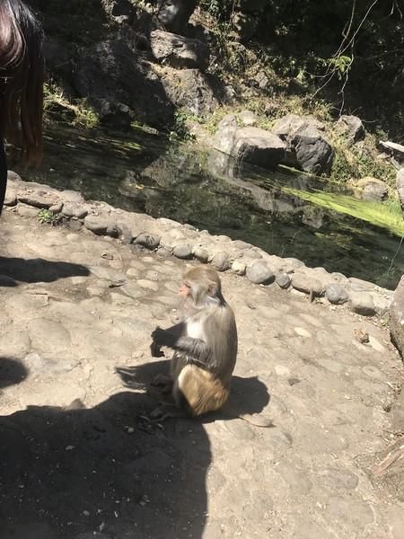 腾冲瑞丽在哪里(腾冲瑞丽芒市旅游攻略)