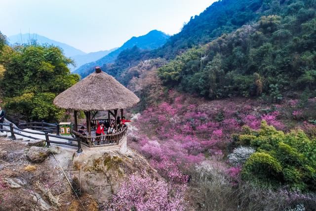 镜湖居在哪(镜湖居)