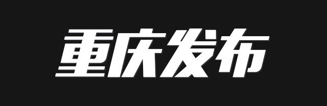 重庆市巴南区审计局局长(重庆市巴南区审计局官网)