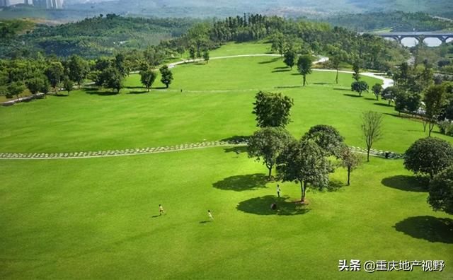 重庆主城哪个区最好(重庆主城哪里看银杏树推荐)