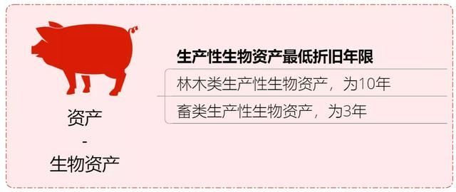 2019年企业税收新政策(企业房屋出租税收新政策2021年)