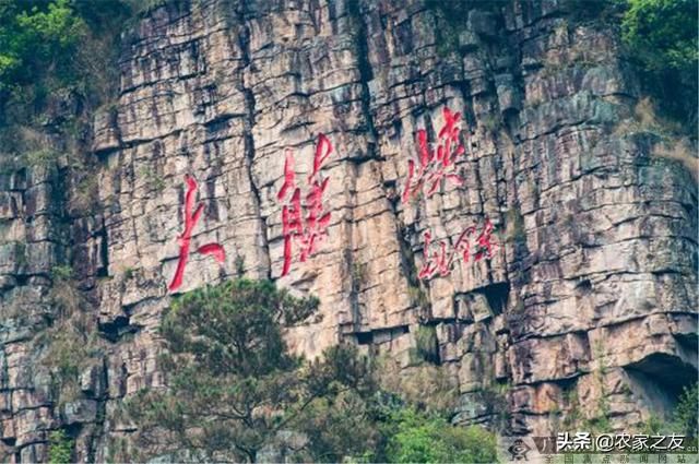 余弦在哪(余弦在哪里是正的)